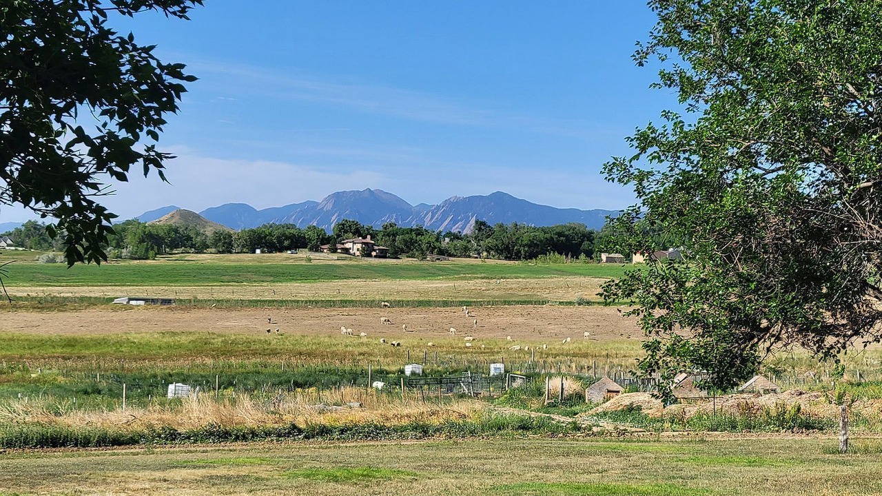 Photo of Others in Longmont