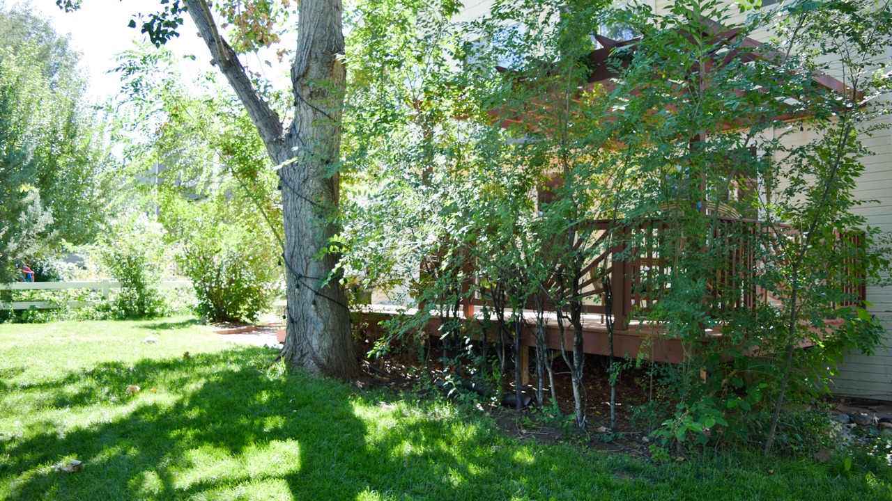 Photo of Outdoor in Loveland