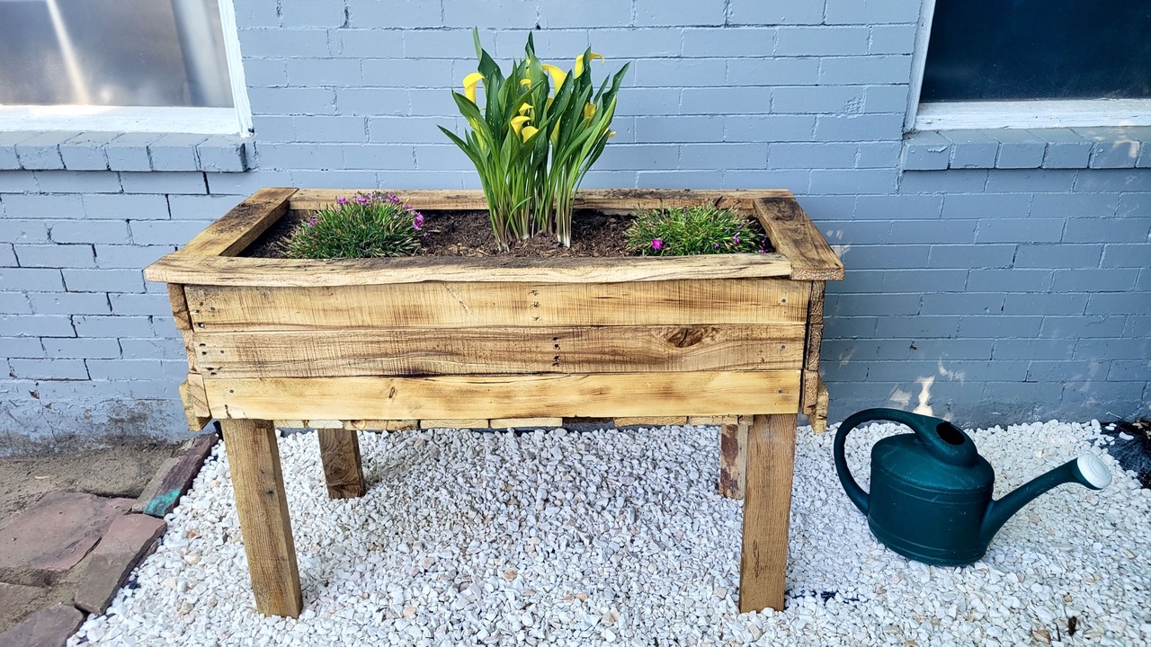 Photo of Outdoor in Berkeley