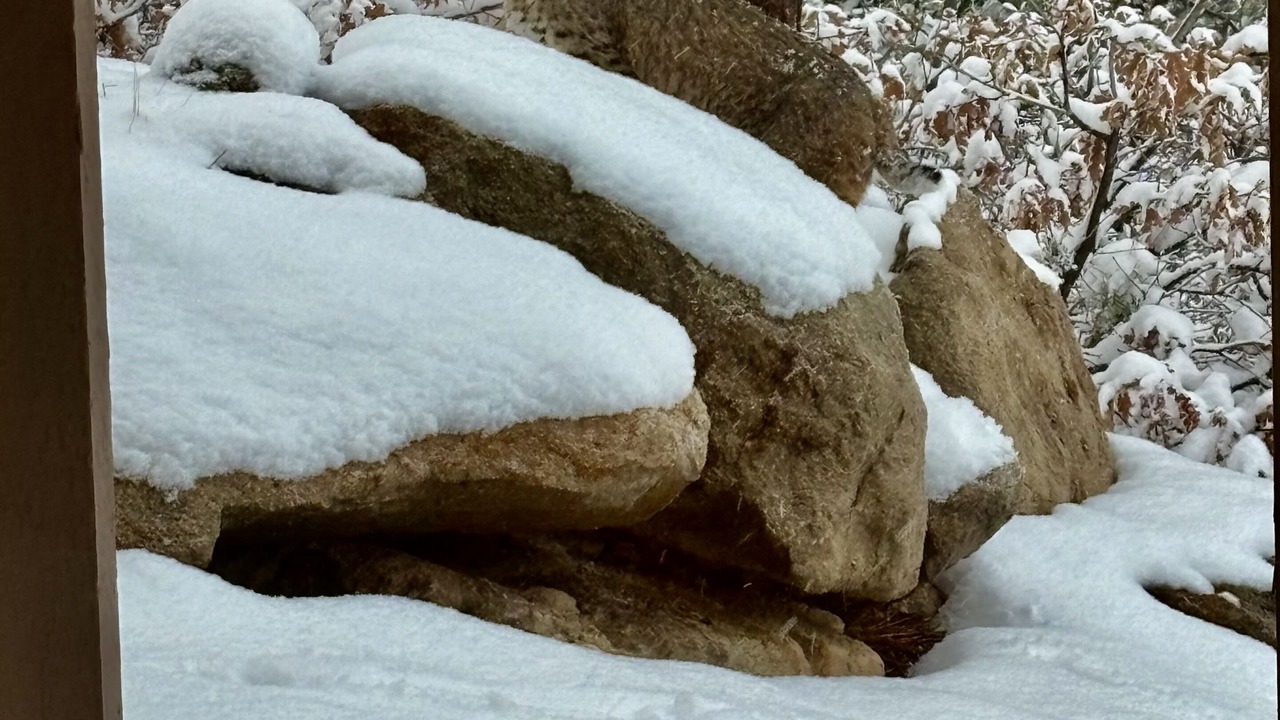 Photo of Outdoor in Larkspur
