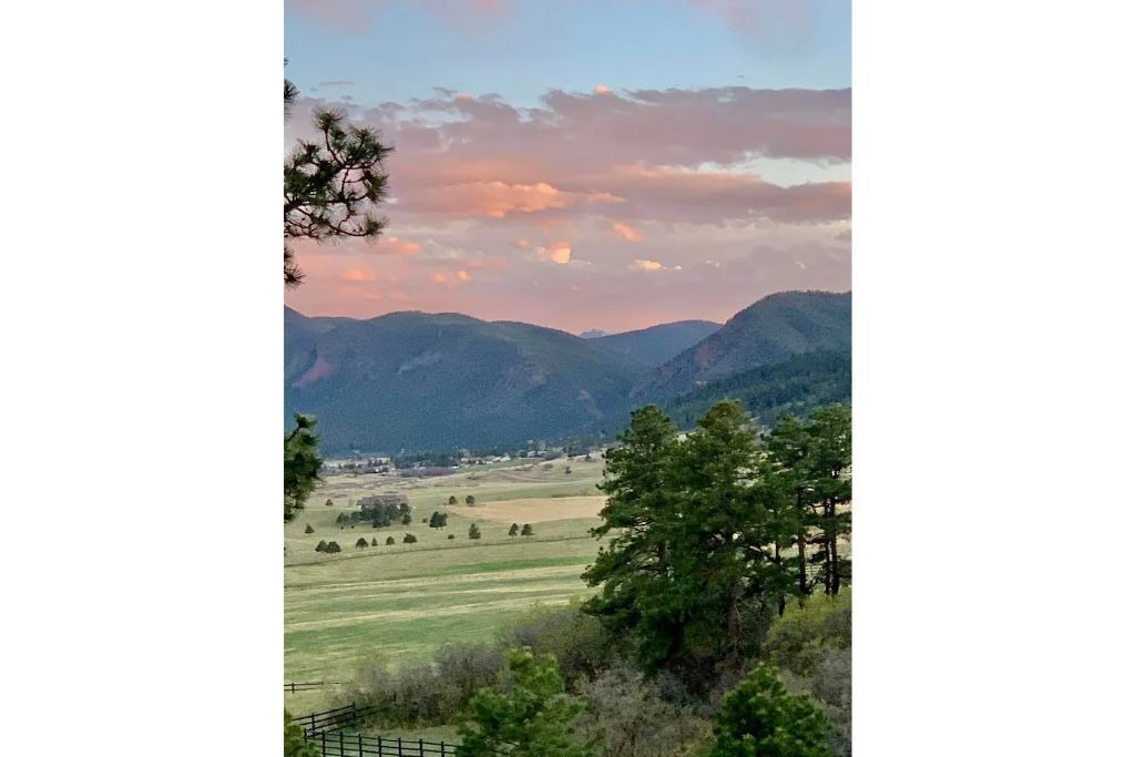 Photo of Others in Larkspur