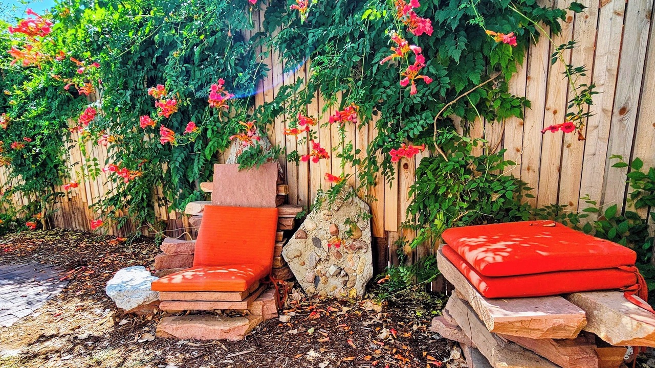 Photo of Outdoor in Sunnyside