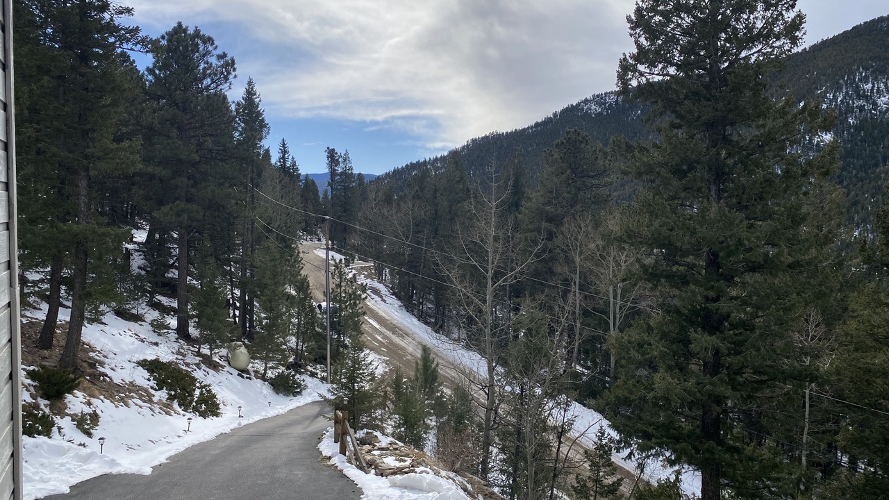 Photo of Others in Evergreen