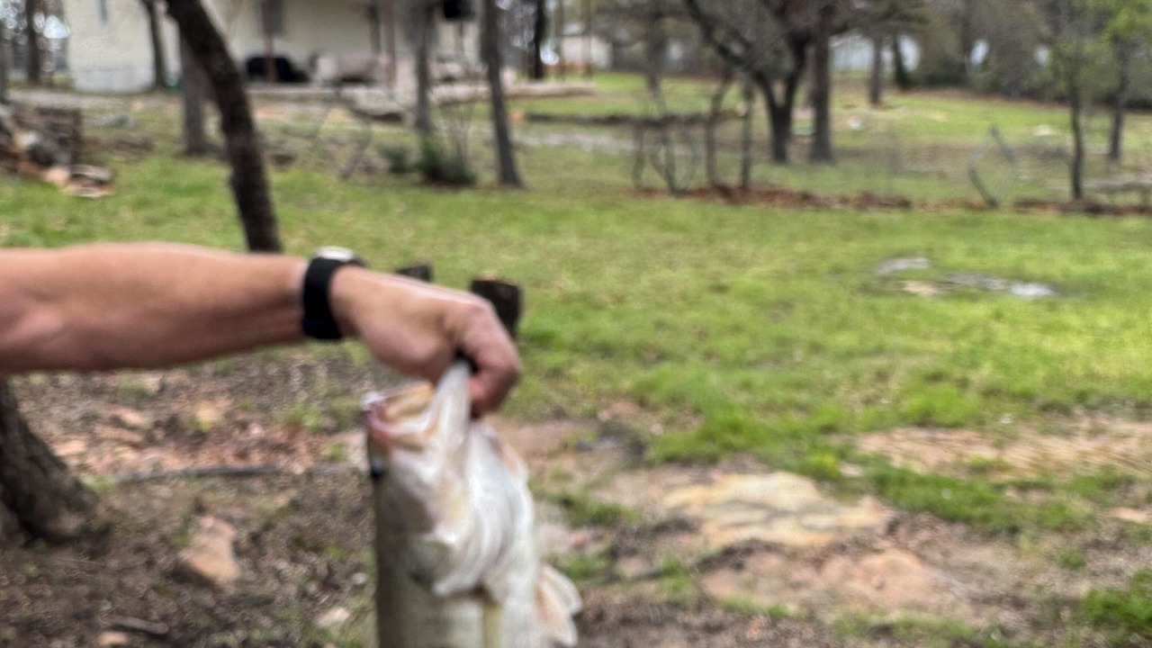 Photo of Others in Palo Pinto