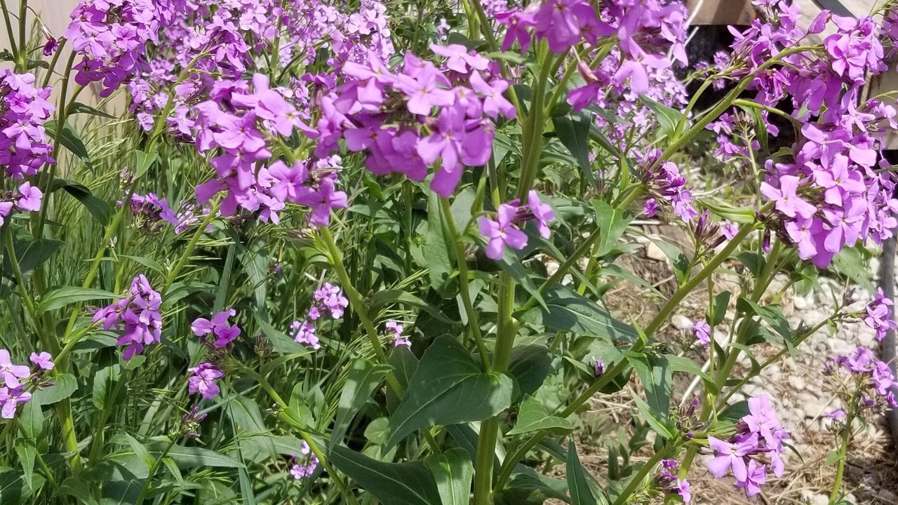Photo of Outdoor in Columbia