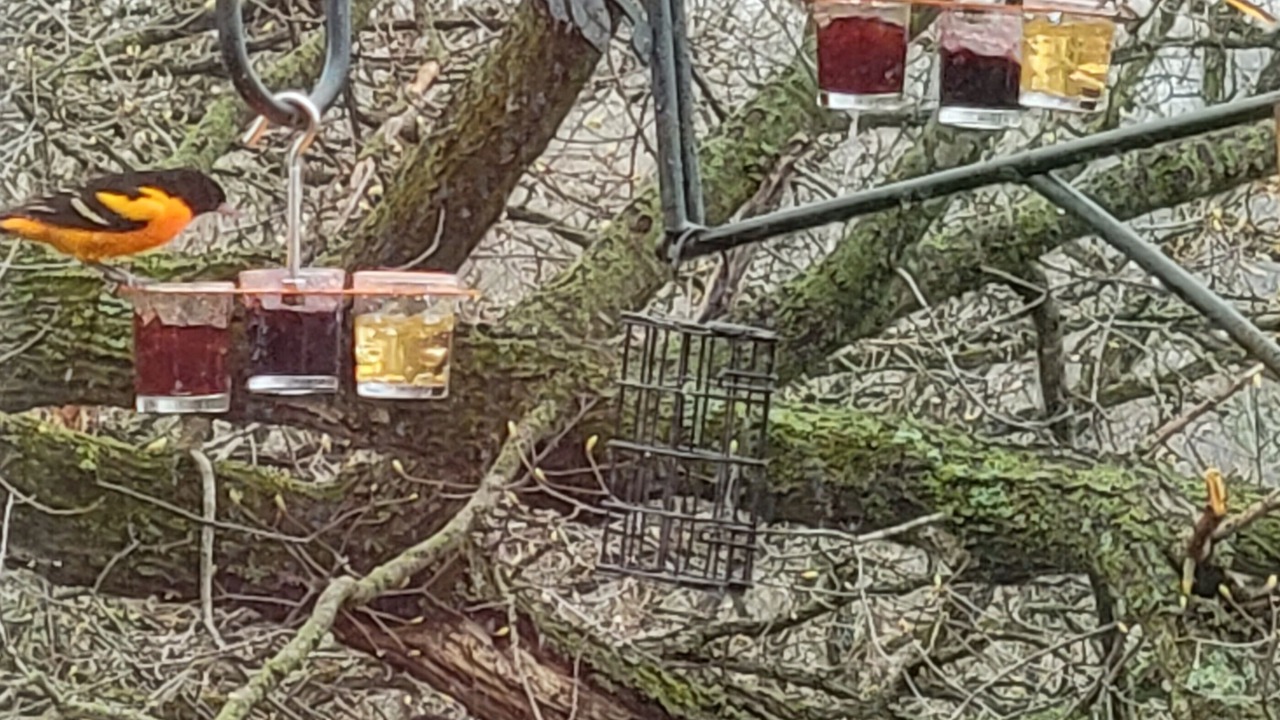 Photo of Outdoor in Columbia