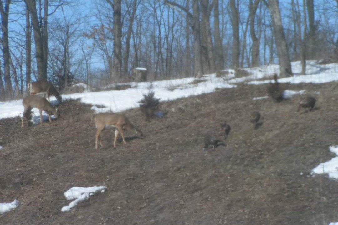 Photo of Outdoor in Columbia