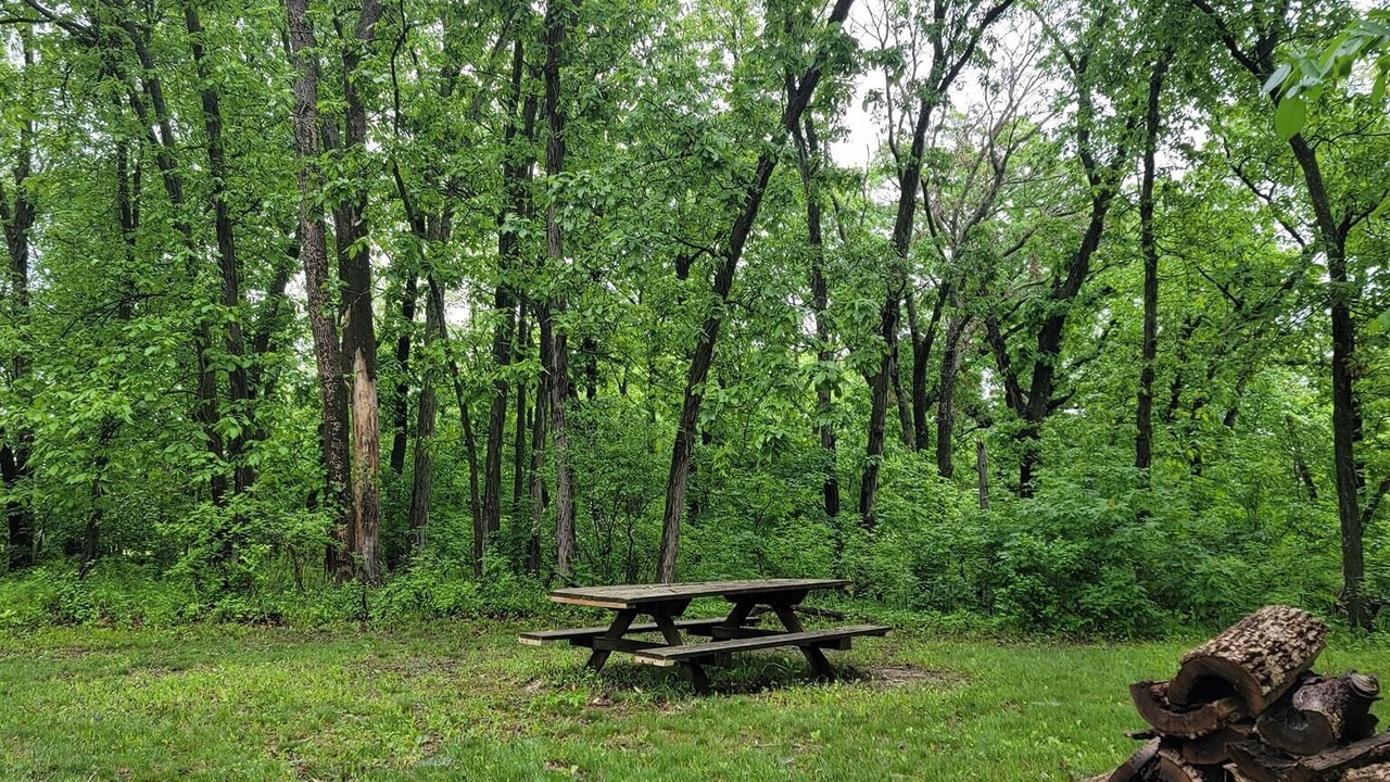 Photo of Outdoor in Columbia
