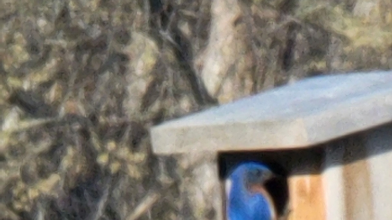 Photo of Others in Columbia