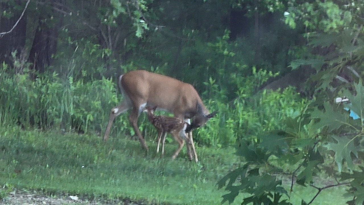 Photo of Outdoor in Columbia