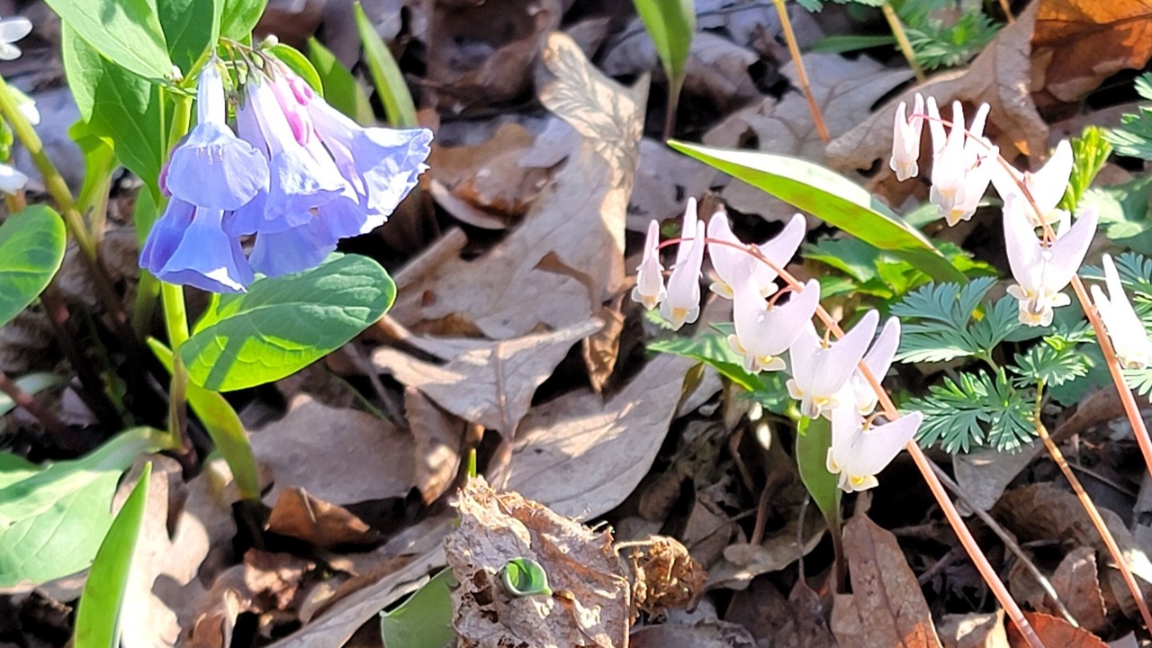 Photo of Outdoor in Columbia