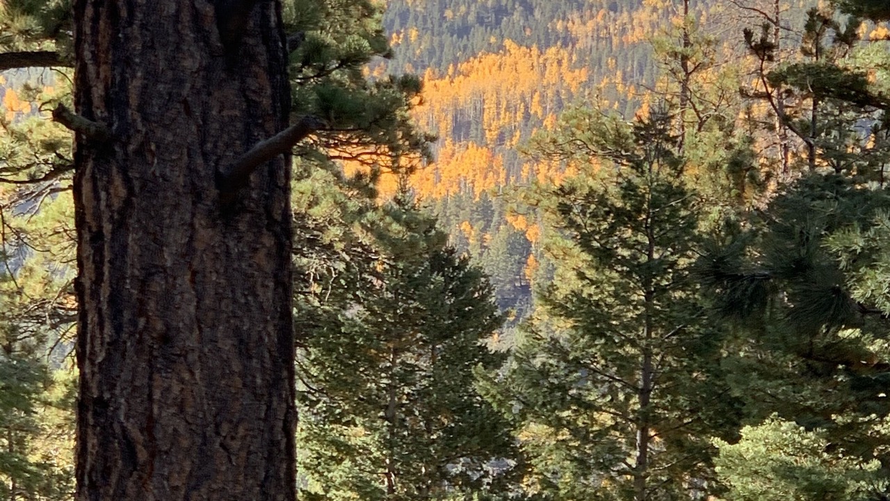 Photo of Outdoor in Custer County