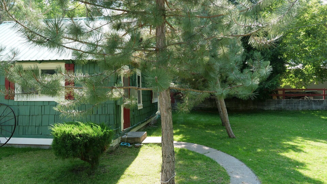 Photo of Outdoor in New Meadows