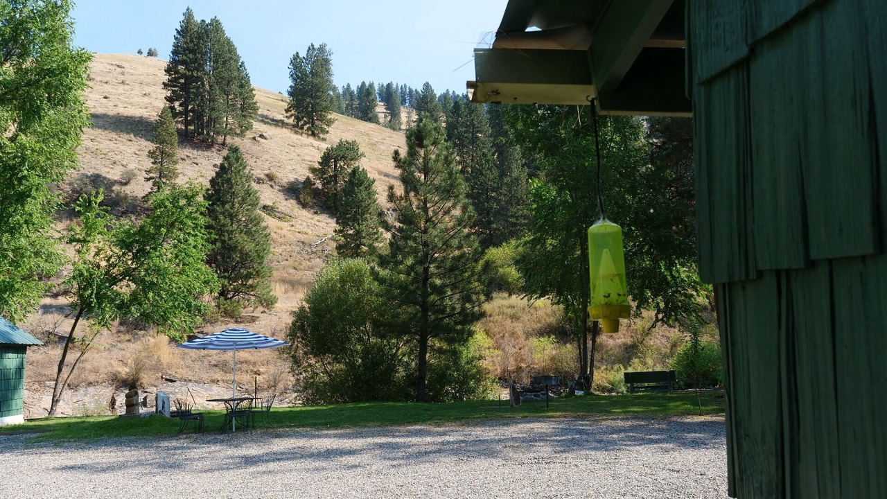 Photo of Outdoor in New Meadows
