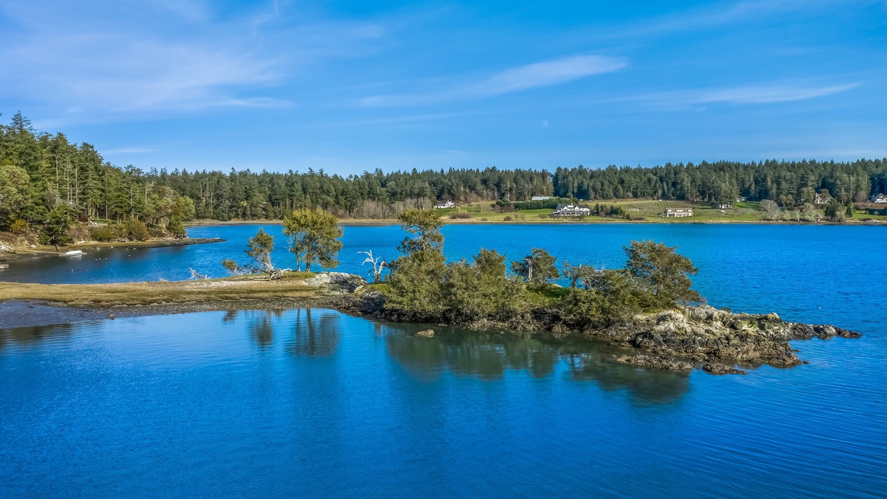Photo of Others in Roche Harbor