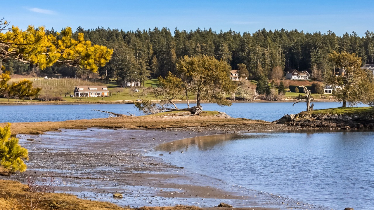 Photo of Others in Roche Harbor