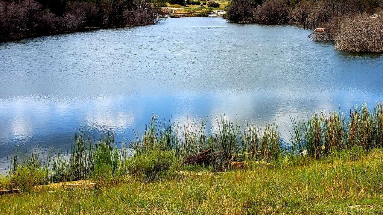 Photo of Outdoor in Graham