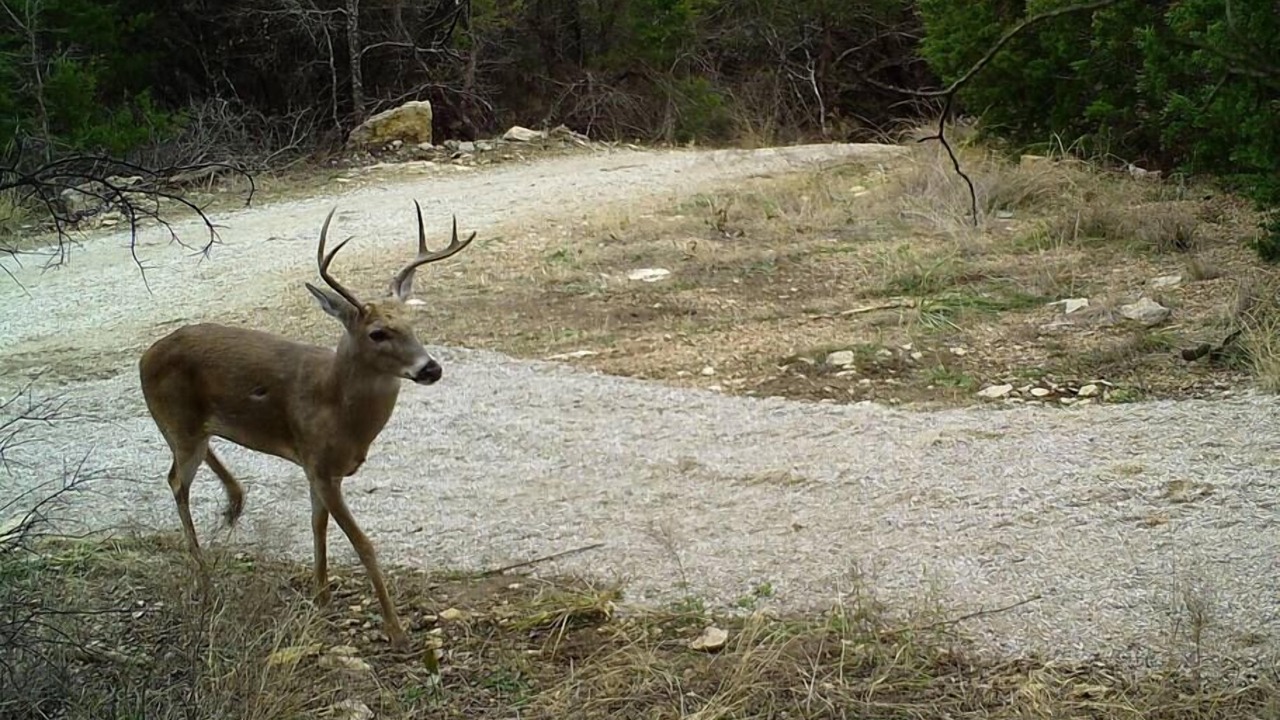 Photo of Outdoor in Graham