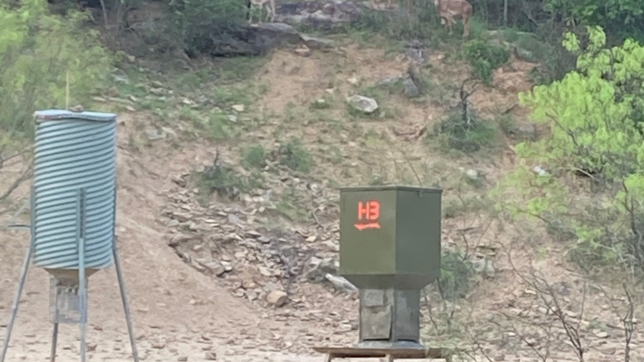 Photo of Outdoor in Jacksboro