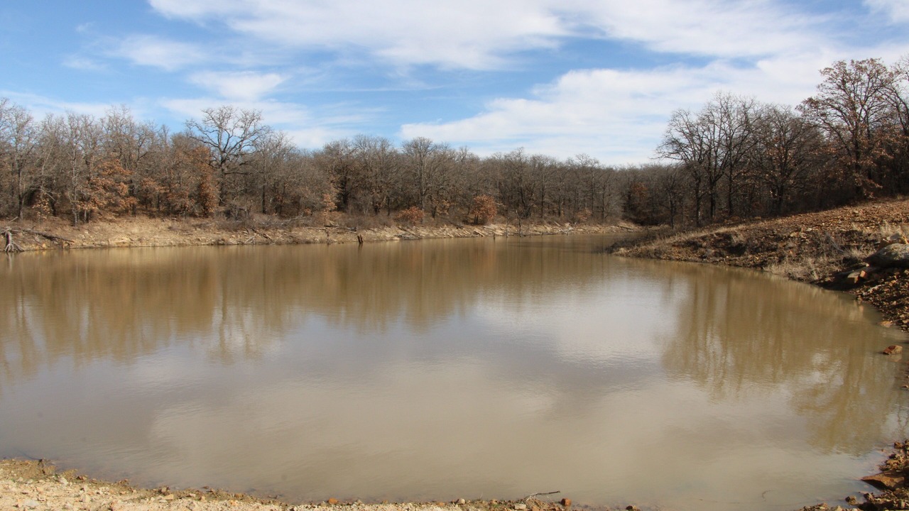 Photo of Others in Jacksboro