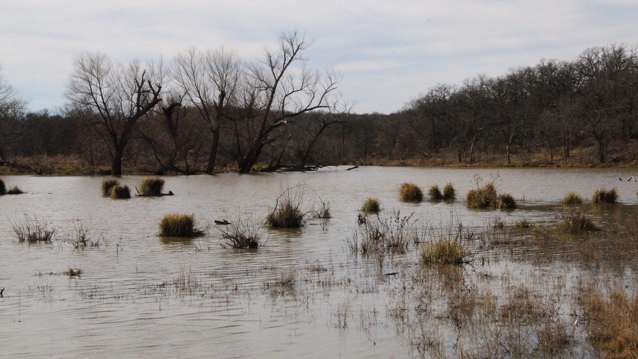 Photo of Others in Jacksboro