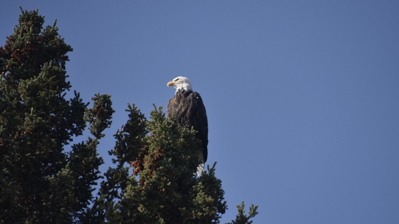 Photo of Outdoor in Langley