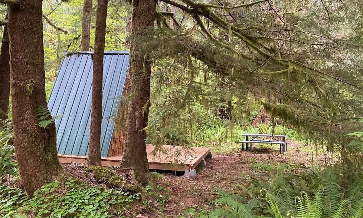 Photo of Outdoor in Forks
