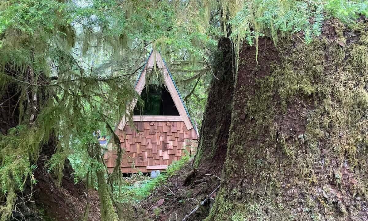 Photo of Others in Forks