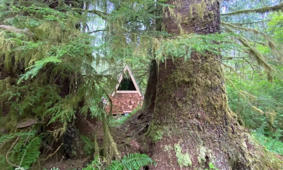 Photo of Others in Forks