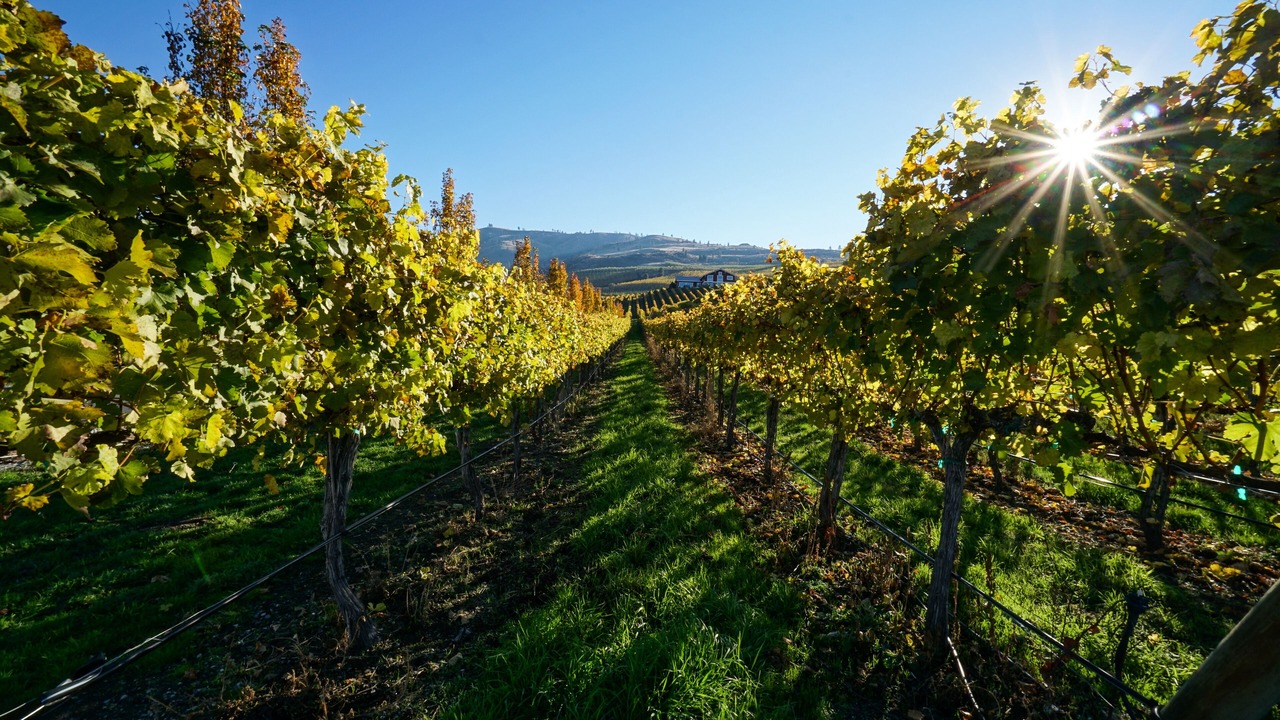 Photo of Outdoor in Chelan