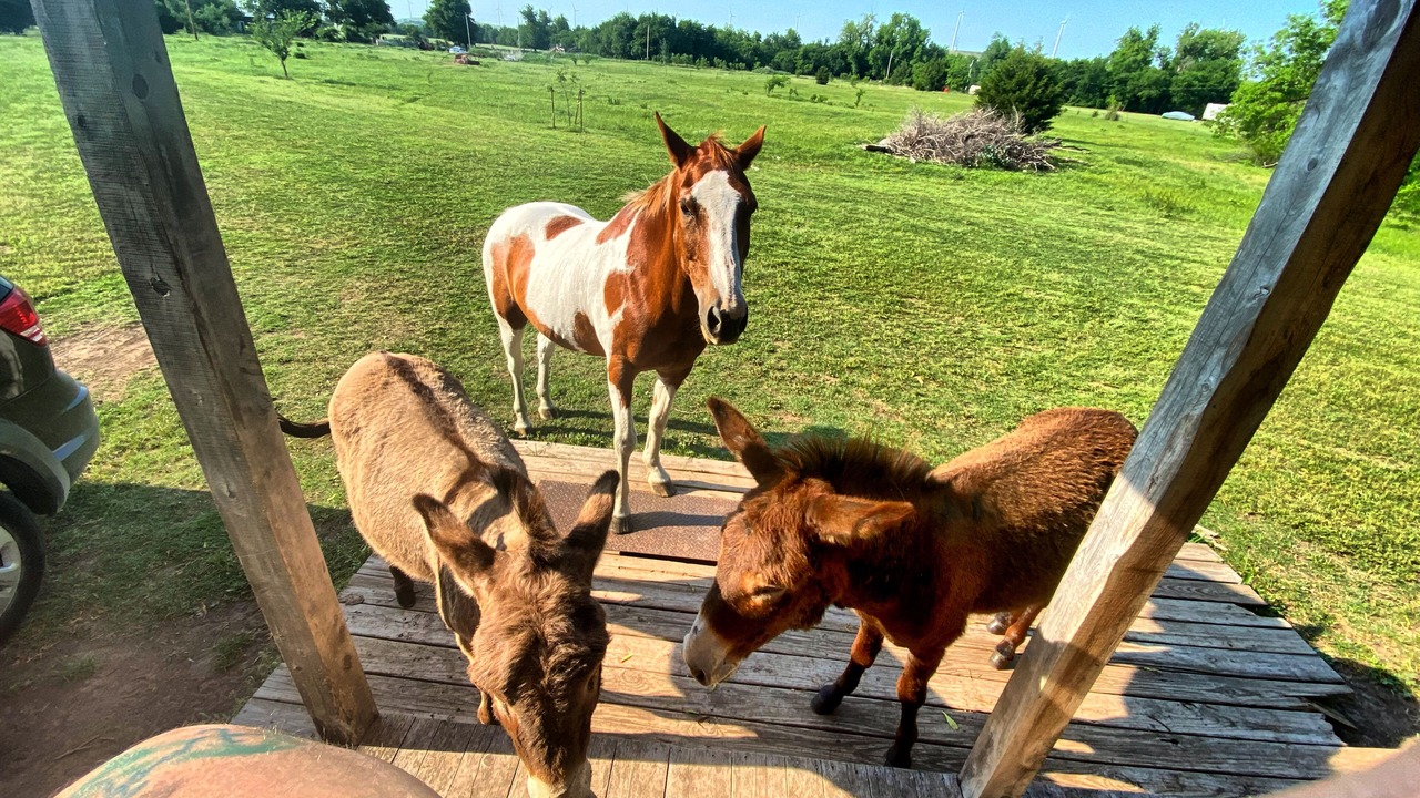 Photo of Outdoor in Lawton