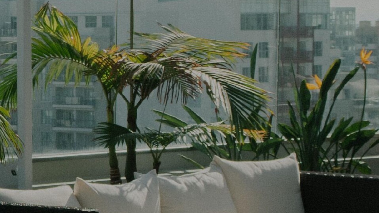 Photo of Outdoor in West Bellevue