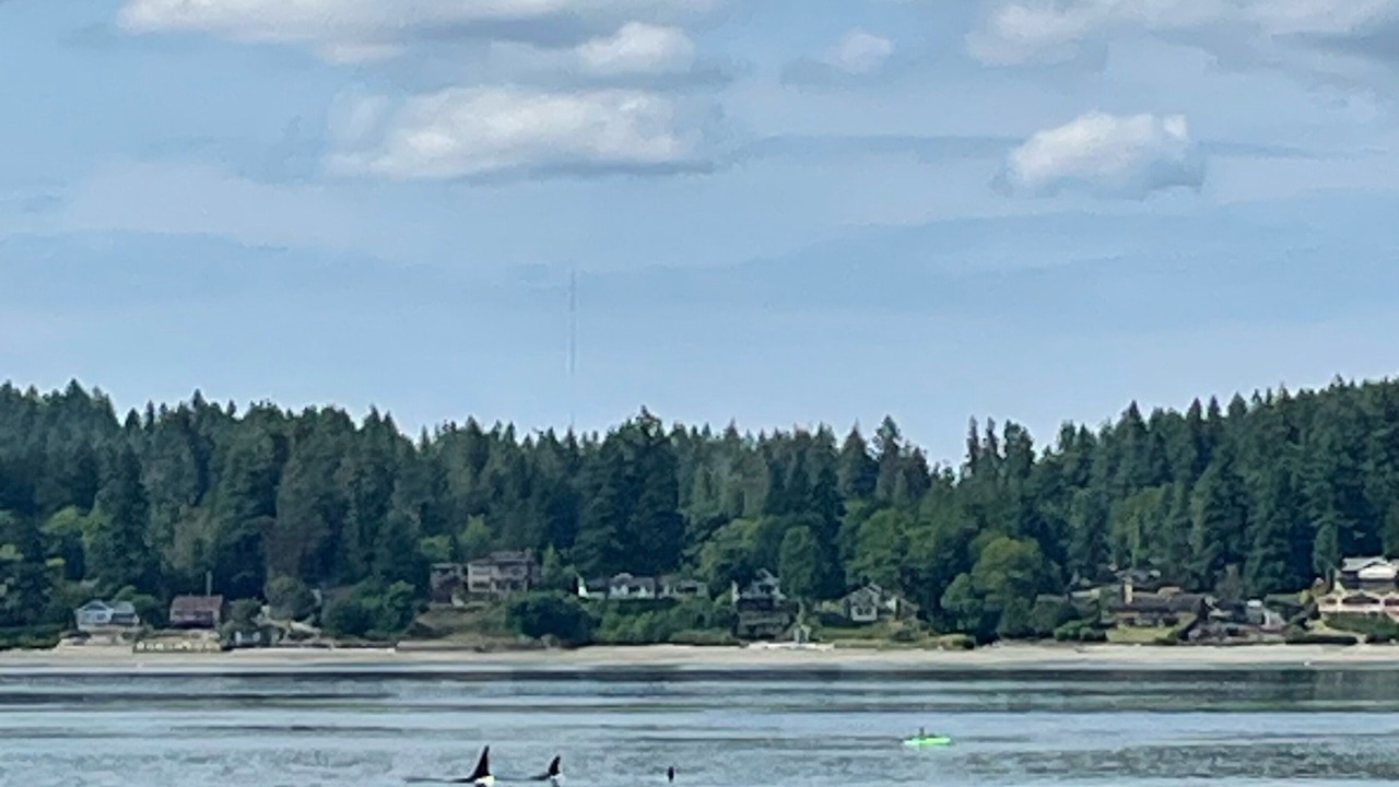Photo of Others in Bremerton