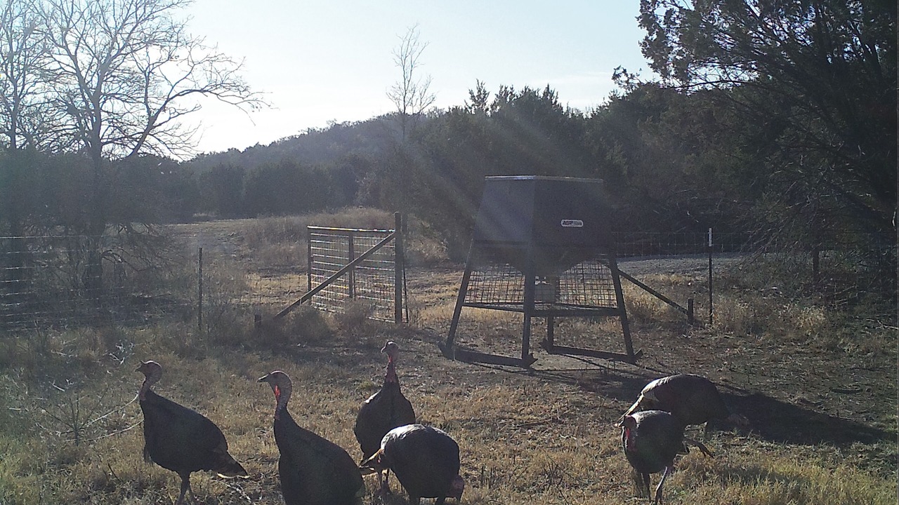 Photo of Outdoor in Graham