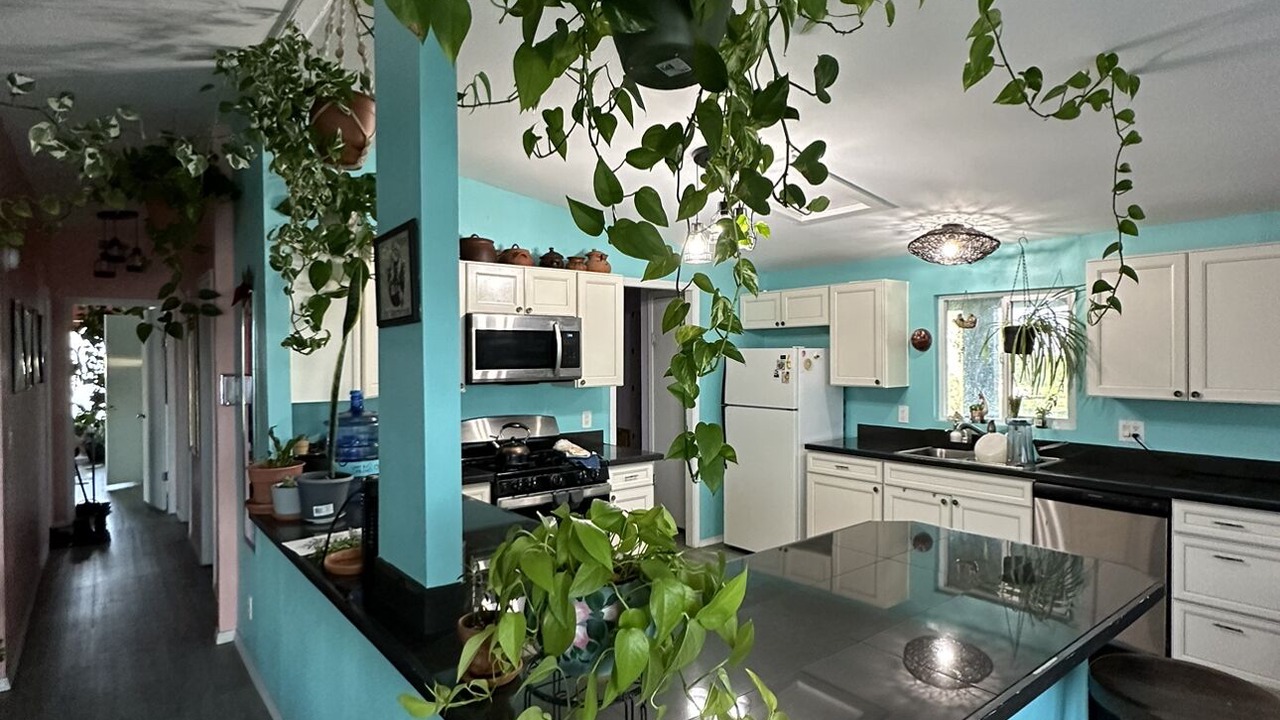 Photo of Kitchen in Moriarty