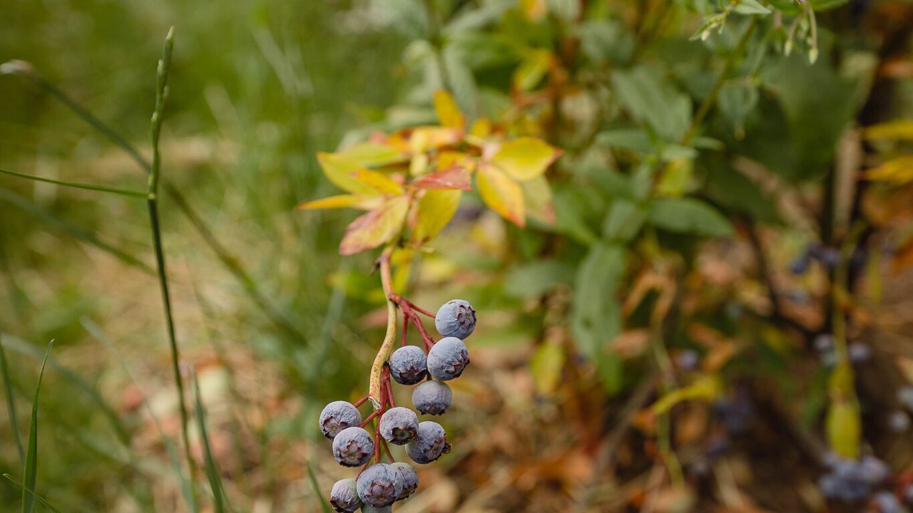 Photo of Outdoor in Mount St. Helens