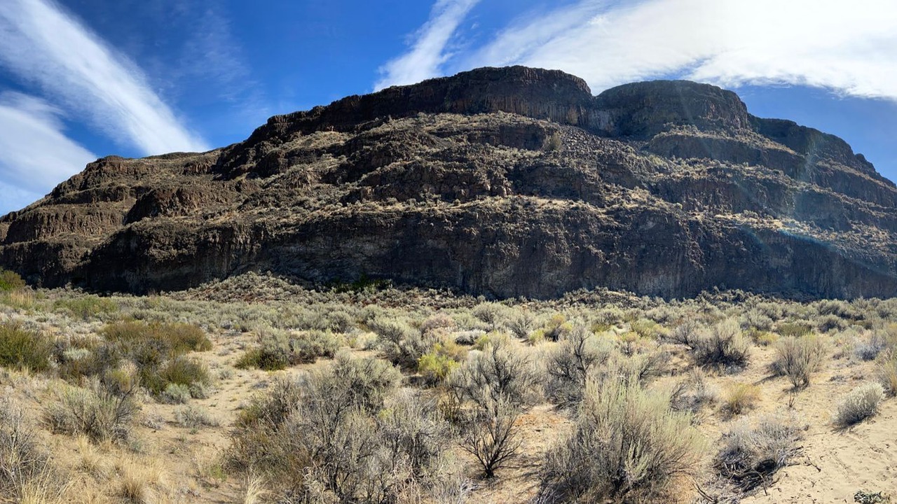 Photo of Outdoor in Sunland Estates