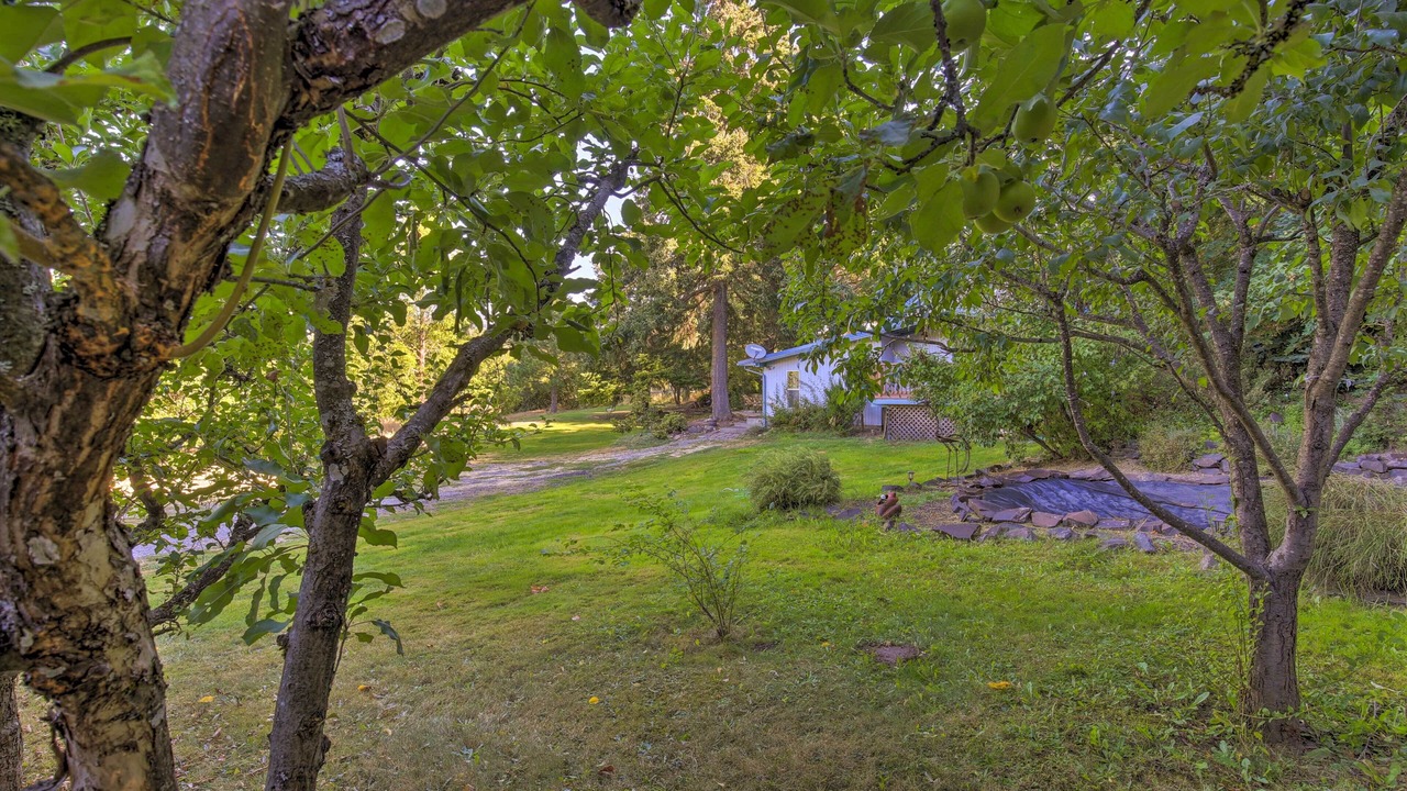 Photo of Outdoor in White Salmon