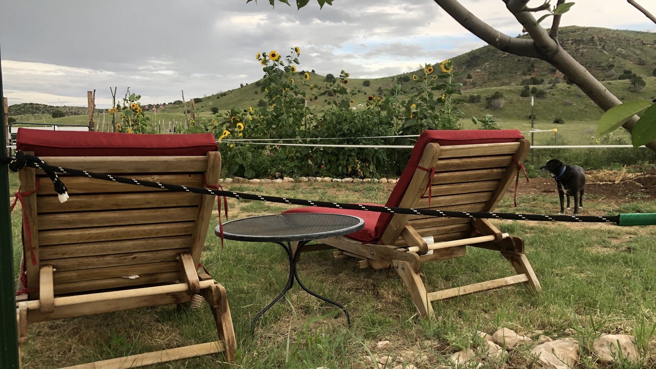 Photo of Outdoor in Picacho