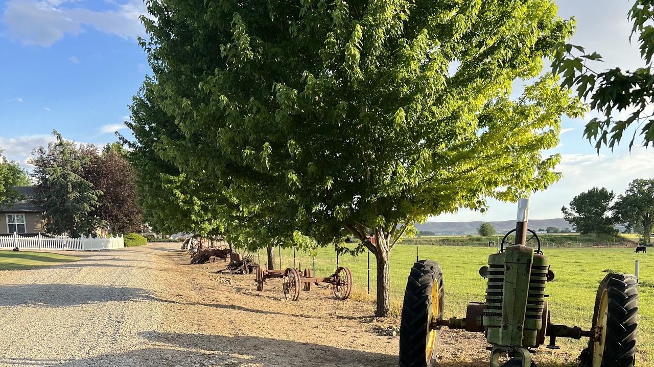 Photo of Others in Gem County