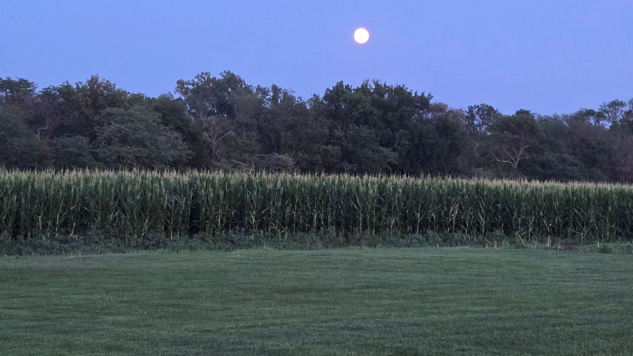 Photo of Others in Holmesville