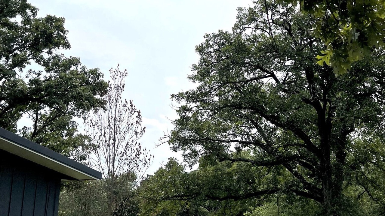 Photo of Outdoor in Columbia
