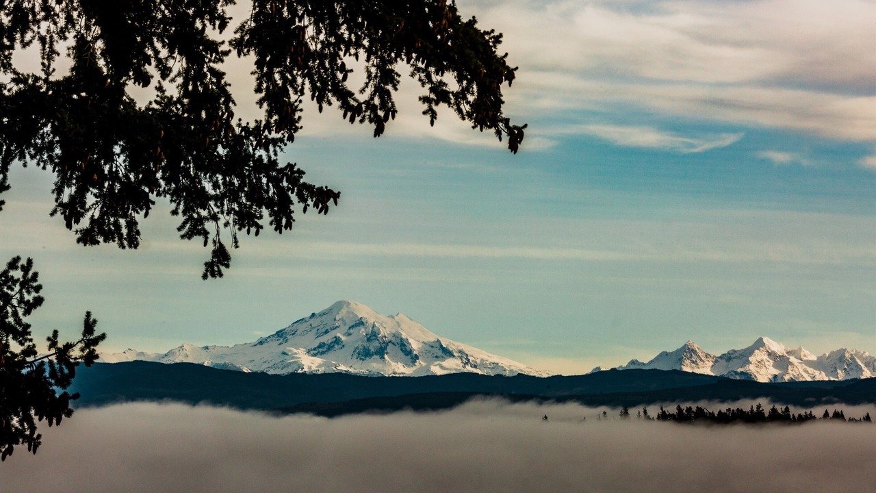 Photo of Others in Lummi Island