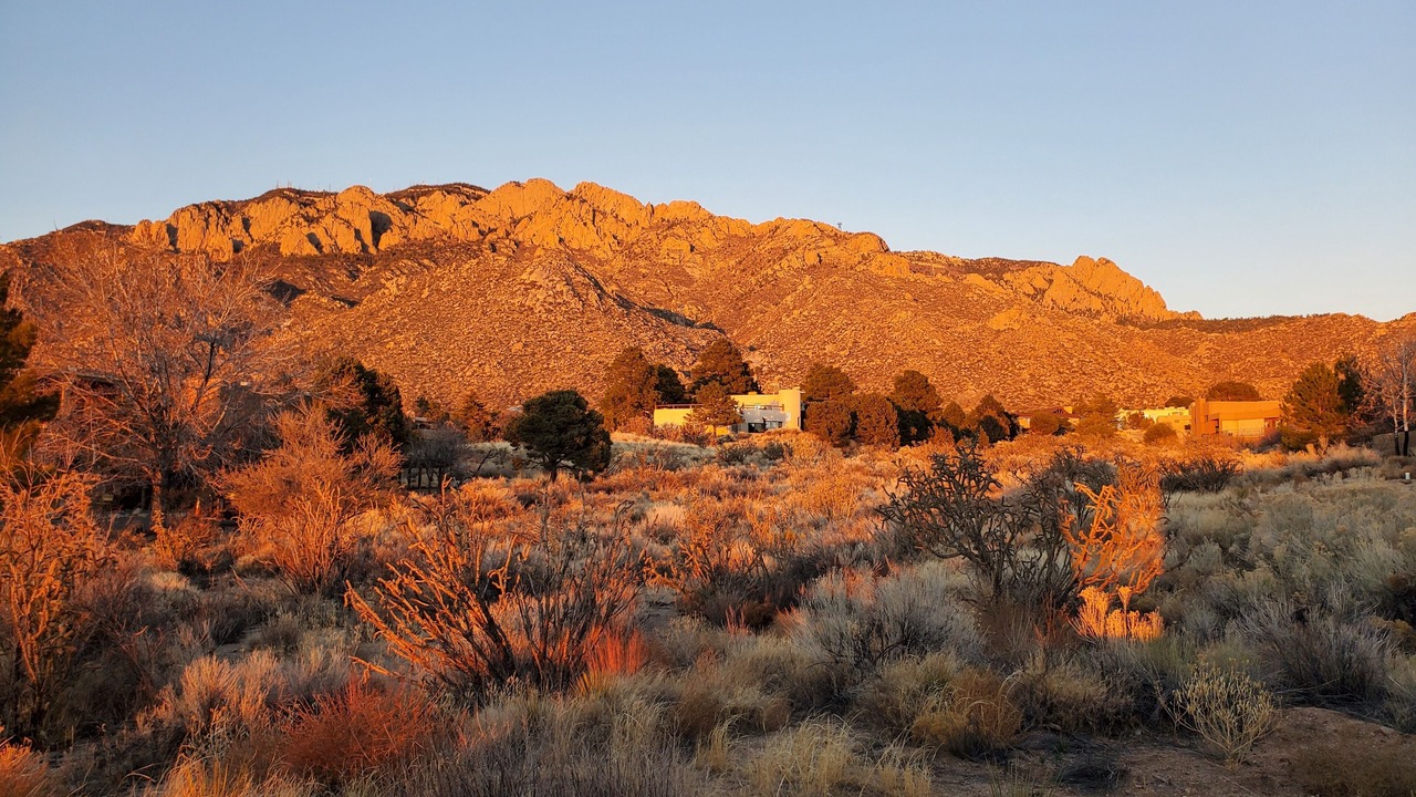 Photo of Outdoor in Sandia Heights South