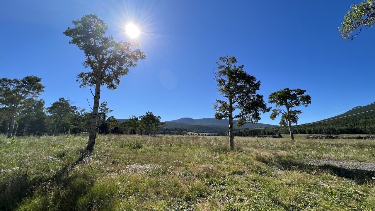 Photo of Outdoor in Fort Garland