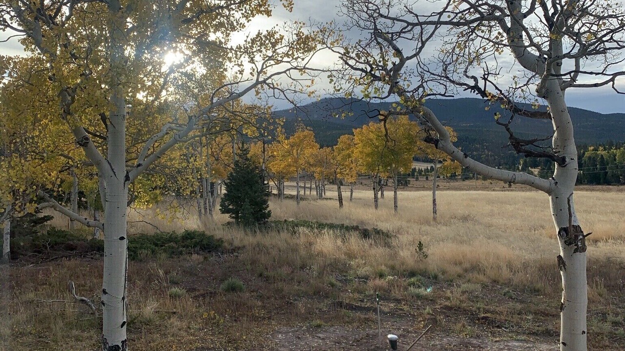 Photo of Others in Fort Garland