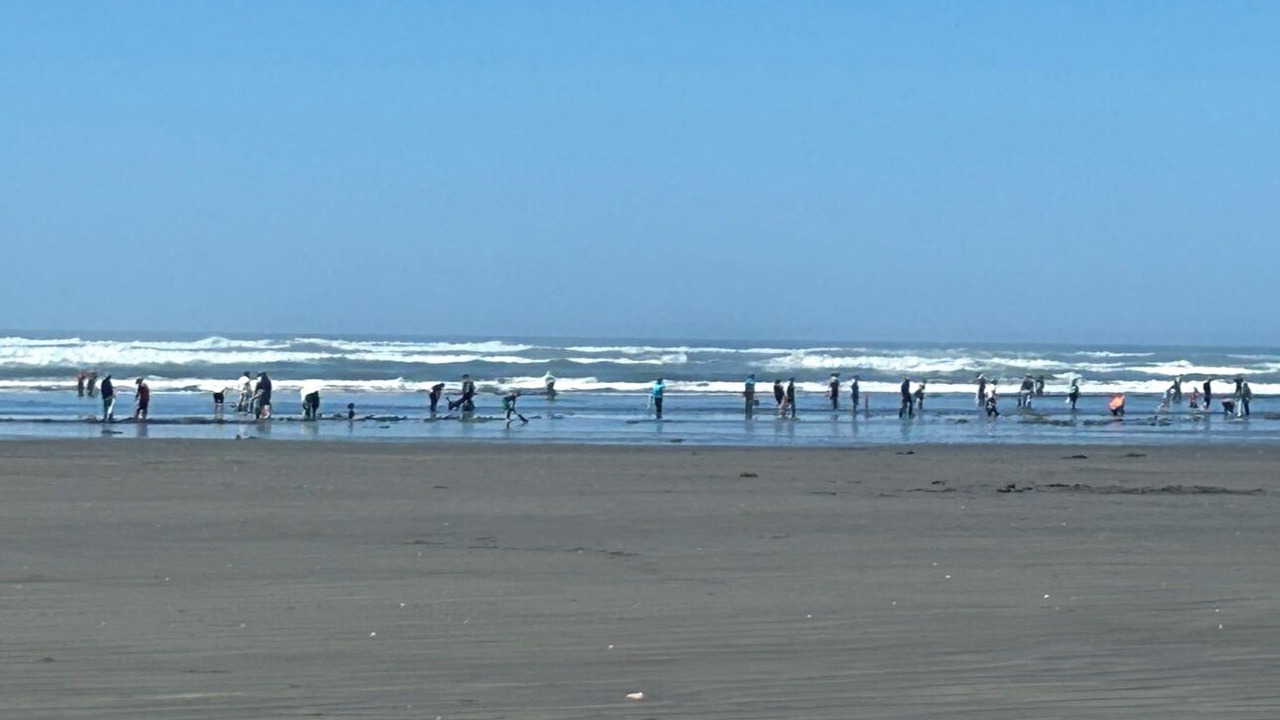 Photo of Others in Pacific Beach