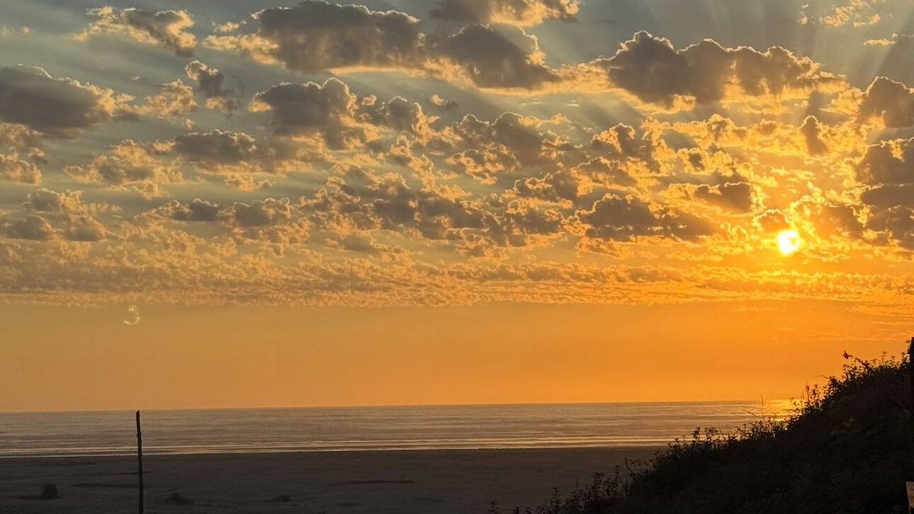 Photo of Others in Pacific Beach
