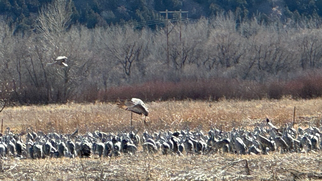 Photo of Others in Lewellen