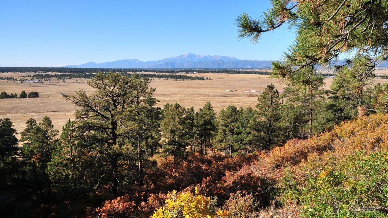 Photo of Outdoor in Larkspur